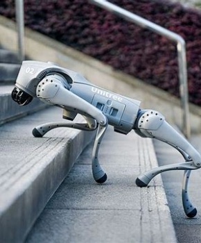 Customizable Robot Dog Search and Rescue Agricultural Escort Waterproof