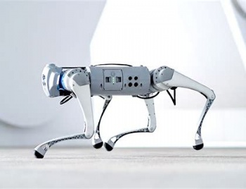 Customizable Robot Dog Search and Rescue Agricultural Escort Waterproof