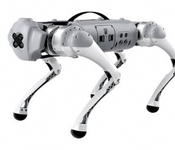Customizable Robot Dog Search and Rescue Agricultural Escort Waterproof