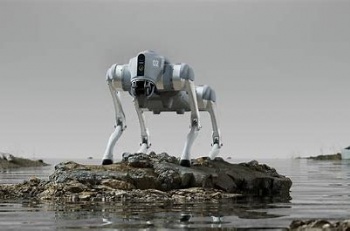 New Creature of Embodied AI Unitree Go2