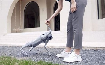 New Creature of Embodied AI Unitree Go2